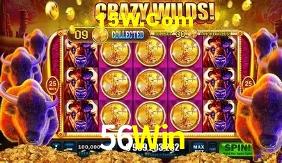 56Win Brasília - Betting Features